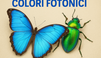 Colori fotonici