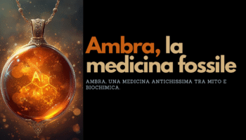 Ambra, la medicina fossile