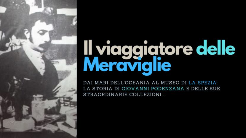Il viaggiatore delle meraviglie