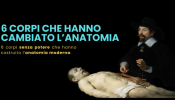 Sei corpi che hanno cambiato l’anatomia