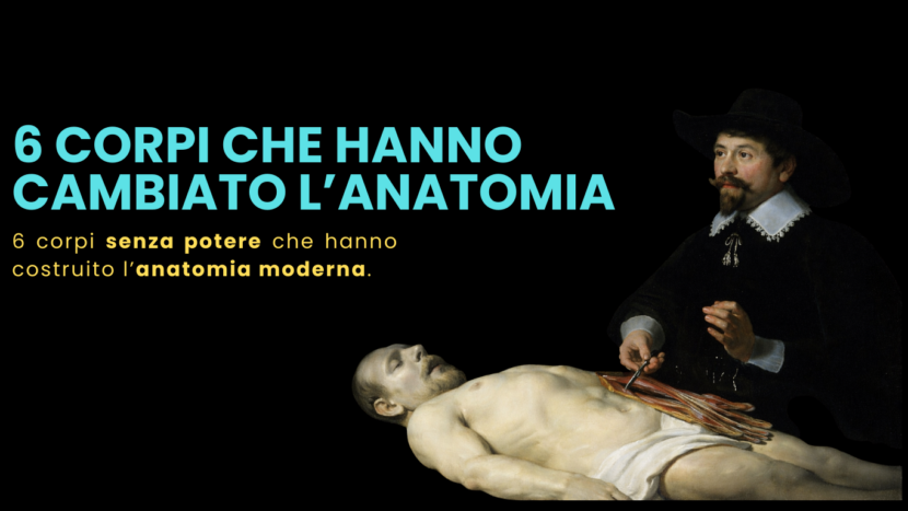 Sei corpi che hanno cambiato l’anatomia