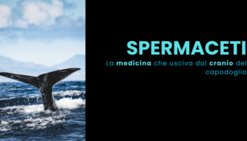 Spermaceti