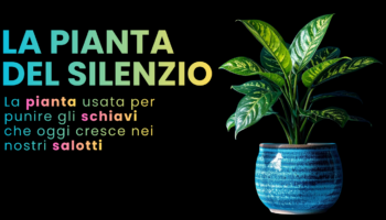 Dieffenbachia: la pianta del silenzio