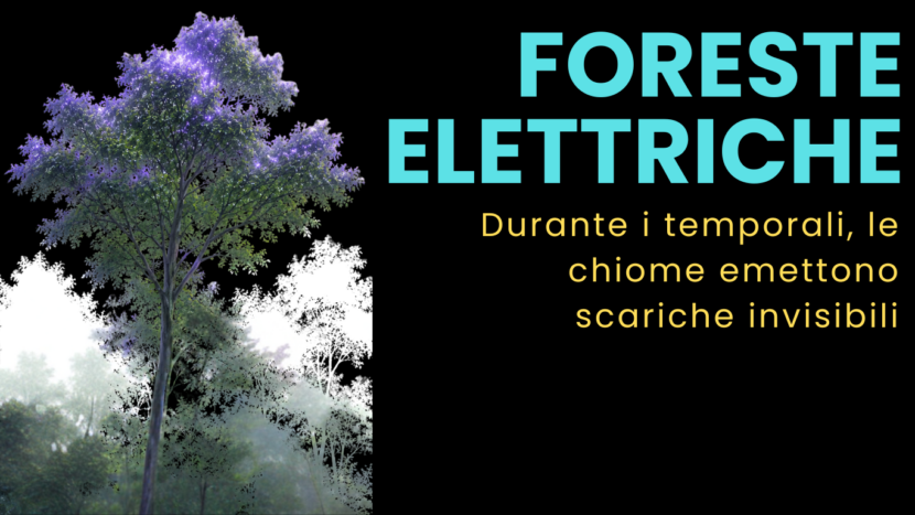 Scariche elettriche sugli alberi